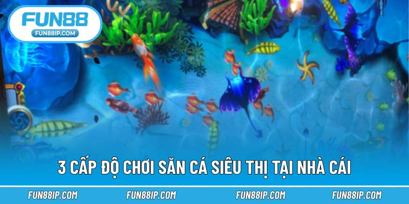 3 cấp độ chơi săn cá siêu thị tại nhà cái