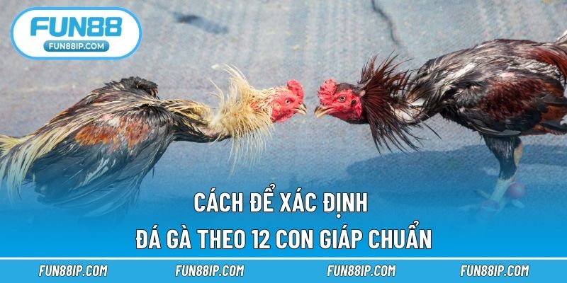 Cách để xác định đá gà theo 12 con giáp chuẩn