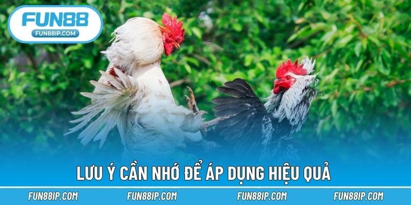 Lưu ý cần nhớ để áp dụng hiệu quả 