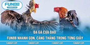 Đá Gà Cựa Dao FUN88