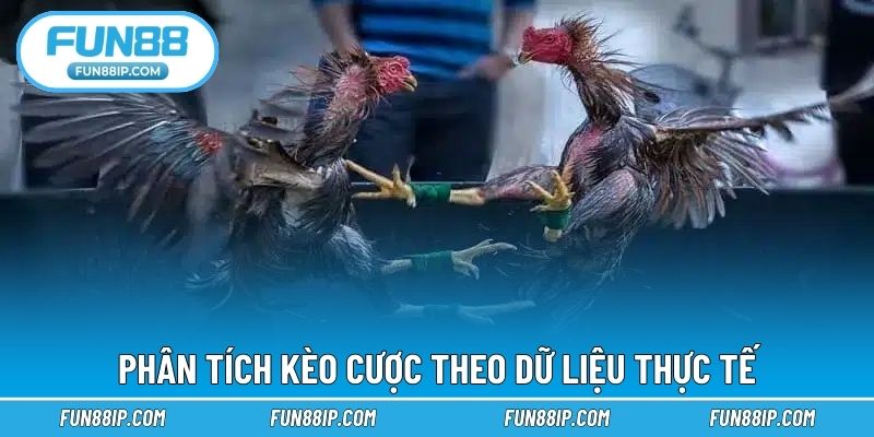 Phân tích kèo cược theo dữ liệu thực tế