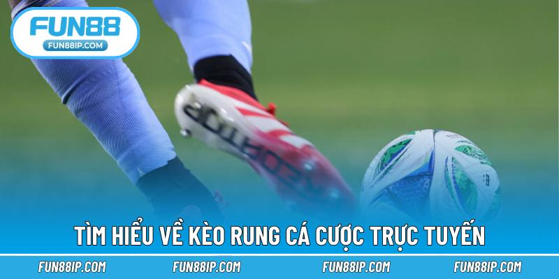 Tìm hiểu về kèo rung cá cược trực tuyến