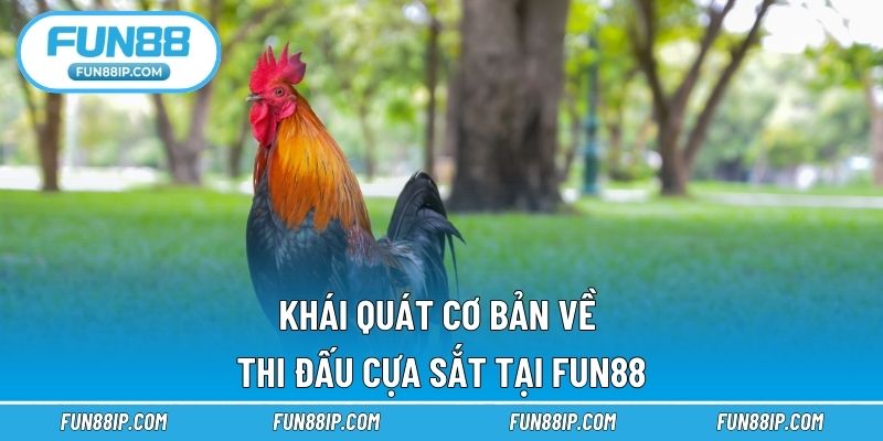 Khái quát cơ bản về thi đấu cựa sắt tại FUN88